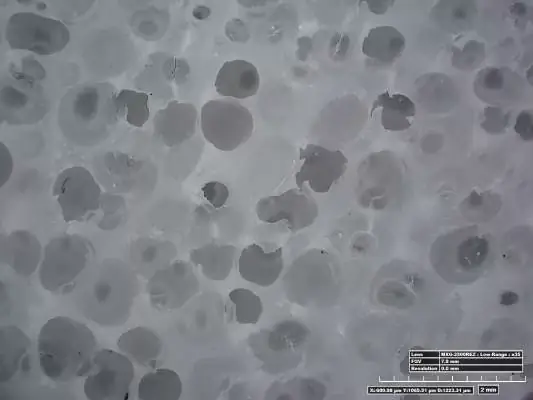 13/ Biochip