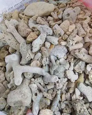 4/ SAN HÔ LỌC NƯỚC
