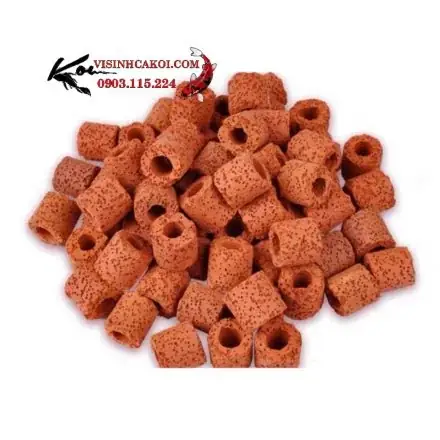12 / Sứ Nhẫn Trắng – Sứ Nhẫn Đỏ