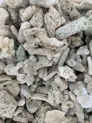 4/ SAN HÔ LỌC NƯỚC