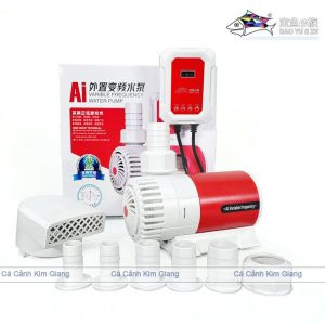 Vật liệu nền và trang trí đa dạng trong bể thủy sinh