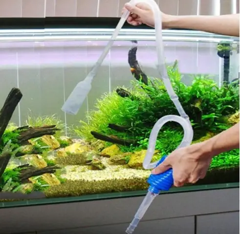 Đánh Giá Dịch Vụ Vệ Sinh Bể Cá Tại Nhà: Lựa Chọn Nào Tốt Nhất? Đánh Giá Dịch Vụ Vệ Sinh Bể Cá Tại Nhà: Lựa Chọn Nào Tốt Nhất?