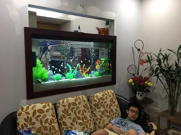 Đánh Giá Dịch Vụ Vệ Sinh Bể Cá Tại Nhà: Lựa Chọn Nào Tốt Nhất?