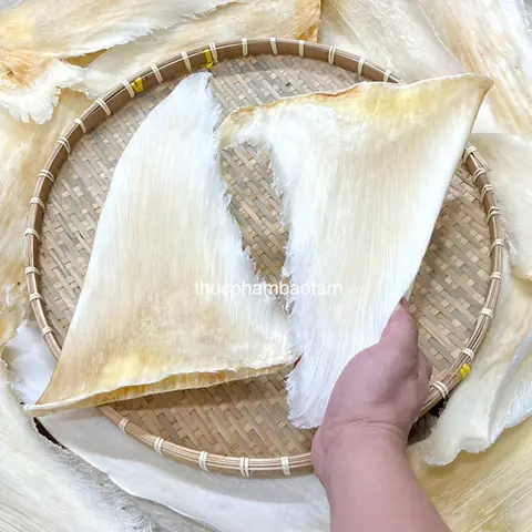 Ngăn ngừa và hỗ trợ điều trị ung thư