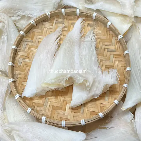 Thông Tin Chung Về Vi Cá