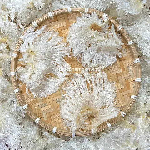 Thông Tin Chung Về Vi Cá