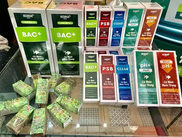 Vi sinh làm trong nước hồ cá: Hiểu rõ vai trò và cách ứng dụng