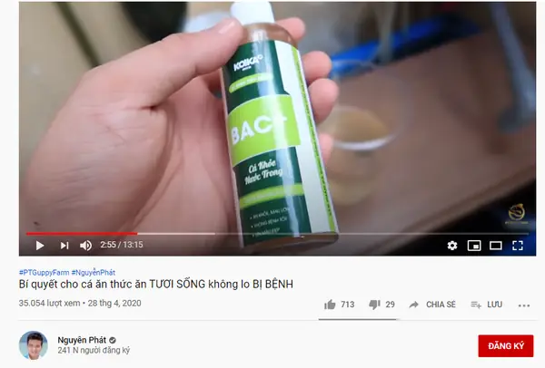 Vi sinh làm trong nước hồ cá: Hiểu rõ vai trò và cách ứng dụng