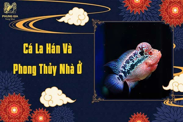 Vị trí đặt bể nuôi cá La Hán để thu hút vượng khí cho gia đình