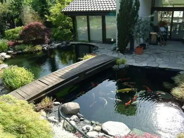 vị trí đặt hồ cá ngoài sân