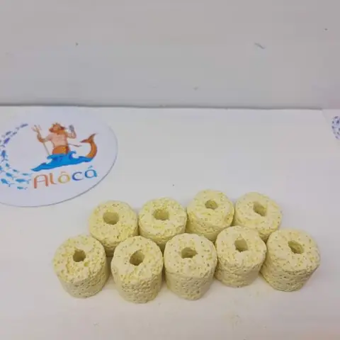 Viên Lọc Nước Bể Cá: Hướng Dẫn Chi Tiết Từ A Đến Z Để Tối Ưu Hệ Thống Lọc