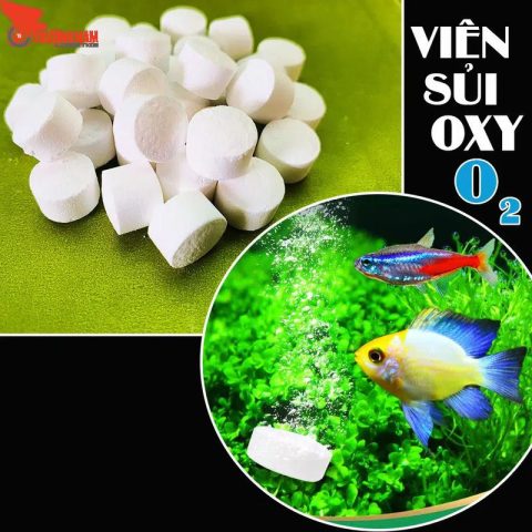 Viên sủi khí O2 dùng trong vận chuyển cá cảnh