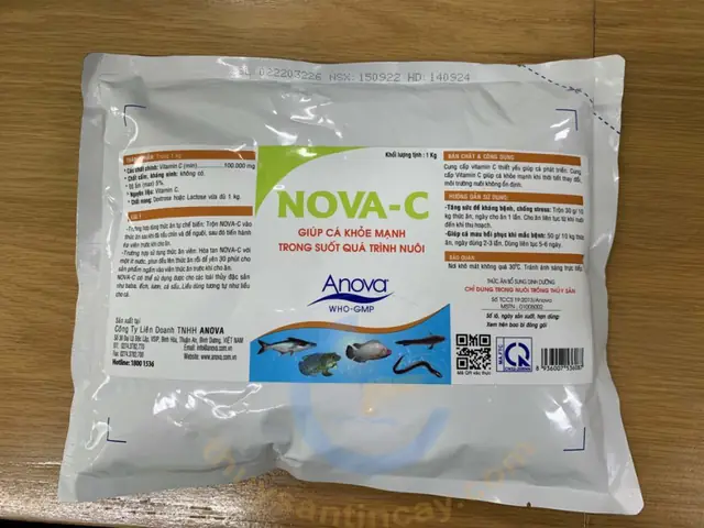 nova c ca dang goi 02