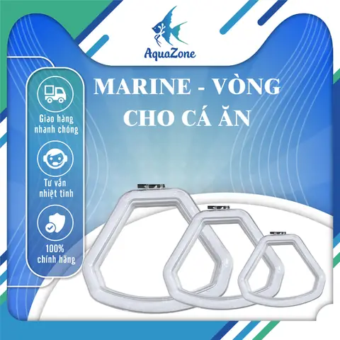 Vòng Cho Cá Ăn: Hướng Dẫn Chọn & Sử Dụng Tối Ưu