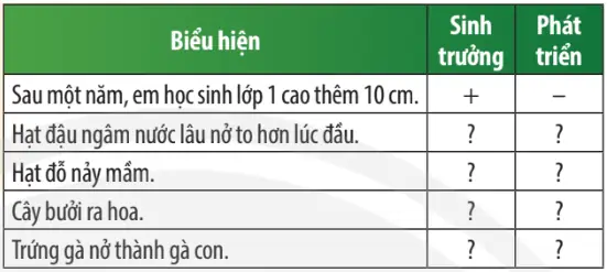 Tìm hiểu chi tiết vòng đời của cá chép: Từ trứng đến trưởng thành