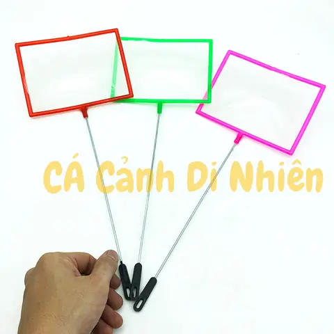 Các Loại Vợt Bắt Cá Lớn: Hướng Dẫn Chọn Và Sử Dụng Hiệu Quả
