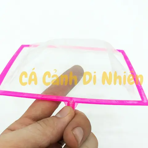 Các Loại Vợt Bắt Cá Lớn: Hướng Dẫn Chọn Và Sử Dụng Hiệu Quả