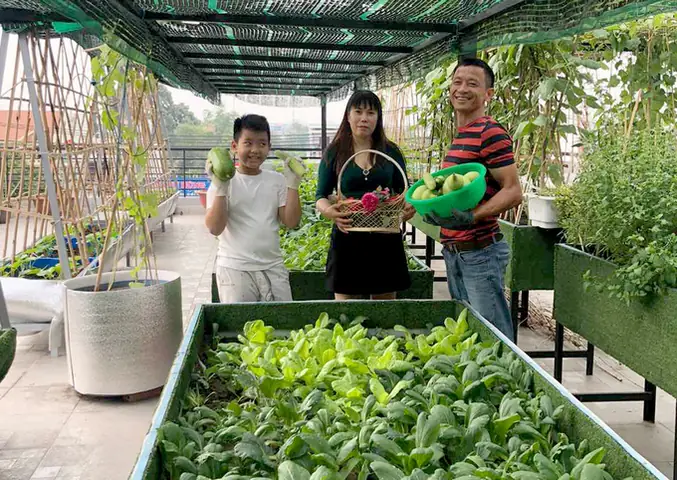Thiết Kế Vườn Cây Ao Cá Đẹp Trên Sân Thượng: Hướng Dẫn Chi Tiết