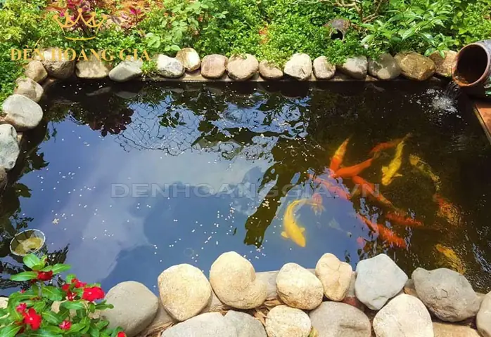 Hướng Dẫn Chi Tiết Cách Xây Bể Cá Mini Đẹp Tại Nhà Hướng Dẫn Chi Tiết Cách Xây Bể Cá Mini Đẹp Tại Nhà
