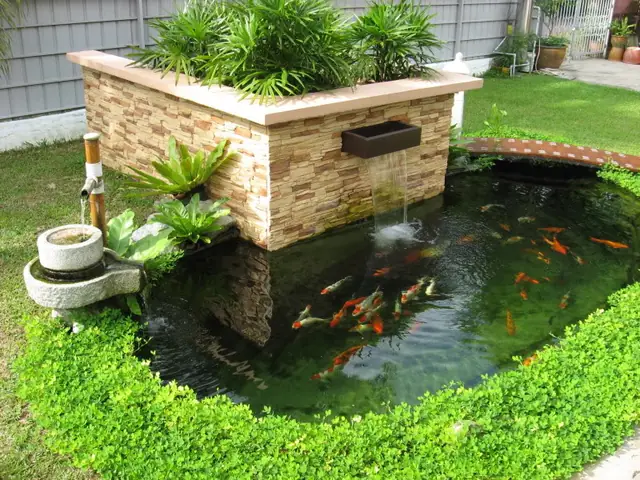 Xây Hồ Cá Cảnh: Hướng Dẫn Chi Tiết Từ A Đến Z Hợp Phong Thủy