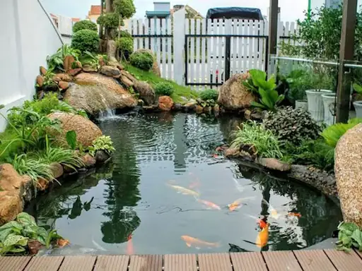 xây hồ cá mini ngoài trời
