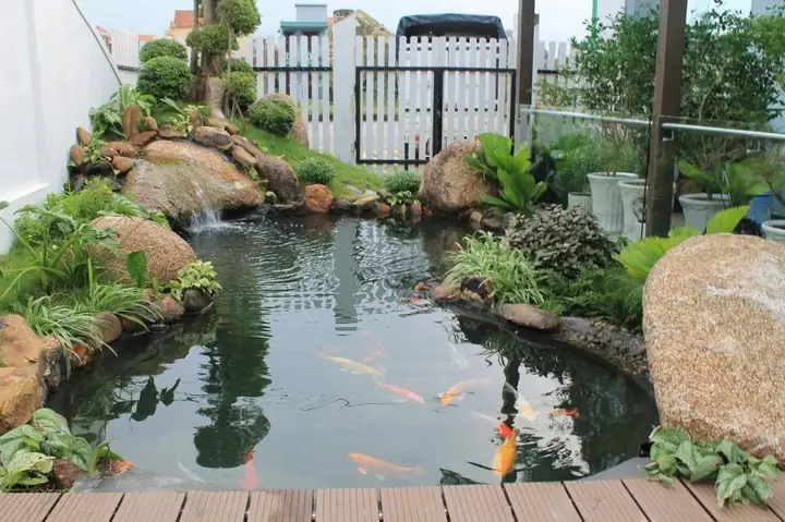 xây hồ cá trước nhà