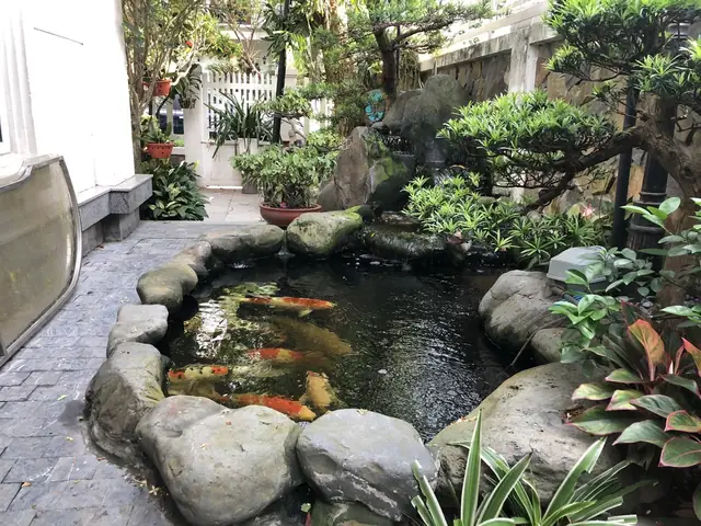 xây hồ cá trước nhà
