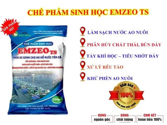 Hướng Dẫn Toàn Diện Về Cách Xử Lý Bùn Đáy Ao Nuôi Cá