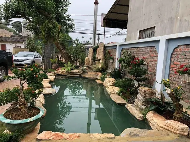 Hướng Dẫn Xử Lý Nước Trước Khi Thả Cá Koi Đạt Chuẩn