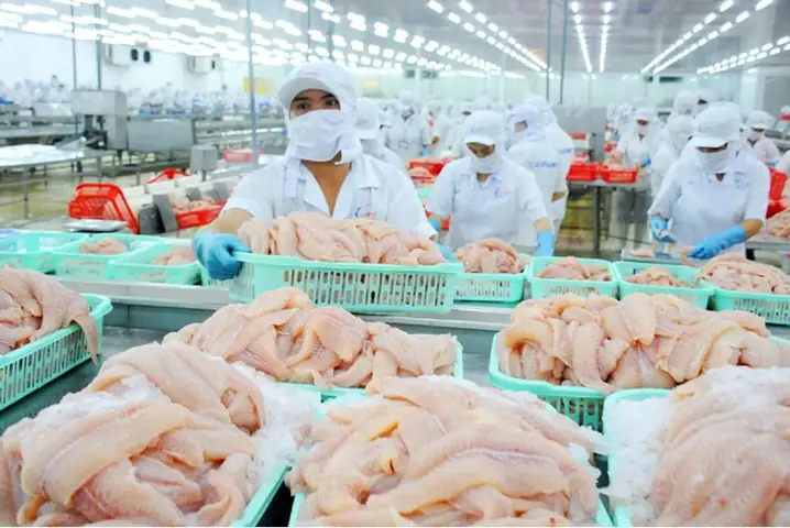 Xuất khẩu Cá Tra Sang Trung Quốc: Phân Tích Thị Trường và Triển Vọng