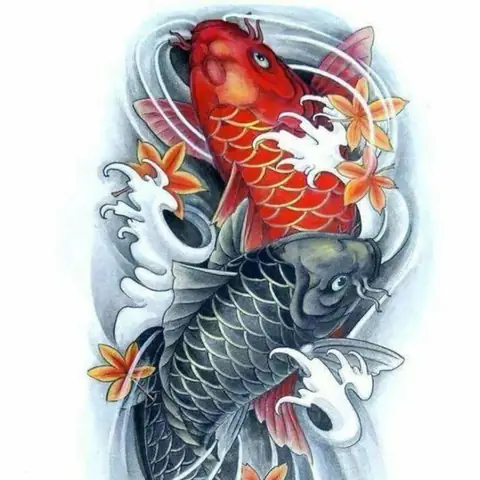 Ý nghĩa Cá Chép Trong Phong Thủy: Biểu Tượng và Ứng Dụng