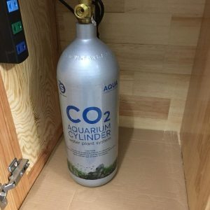 Bình Sắt CO2 2kg & 3kg Lùn