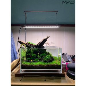 Combo Đế Gỗ Treo Đèn MAD Hồ Shallow Nano