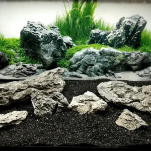 Đá Vỉa Cho Hồ Cá Thủy Sinh