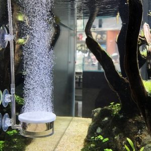 Đầu Sủi Oxy Siêu Mịn