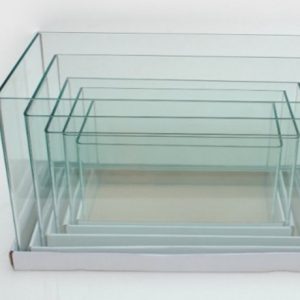 Hồ Kính Bể Cá Đúc Cạnh Đẹp