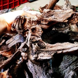 Lũa San Đá Miếng – Lũa San Đá Cảnh 1kg