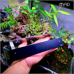 Shade chê đèn MAD size hồ 20cm đến 60cm